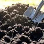 Чим удобрити ґрунт, добриво